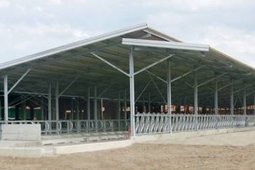 Оборудование для Кормления Телят и Автоматические Кормушки и Поилки